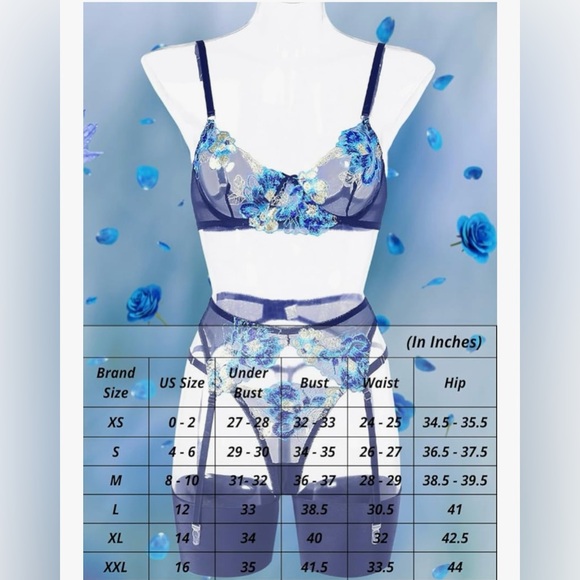Blue Floral Embroidered Mesh Lingerie Set 4pc Garter Sheer Lace - Picture 6 of 6